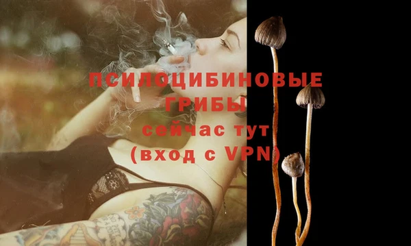 индика Абаза