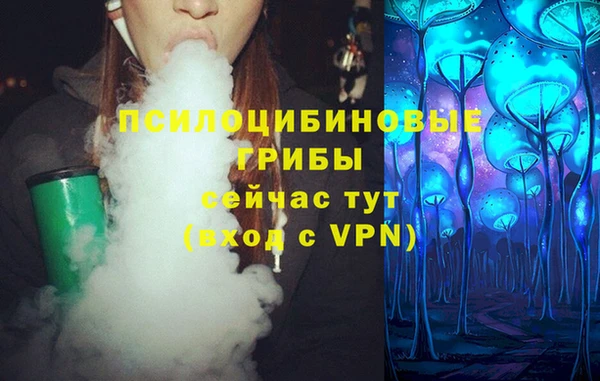 индика Абаза