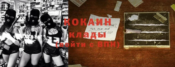 индика Абаза