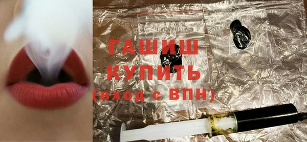 индика Абаза
