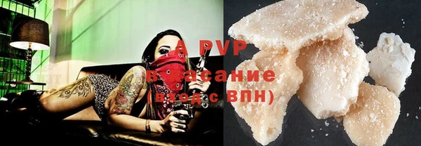ГАЛЛЮЦИНОГЕННЫЕ ГРИБЫ Покачи